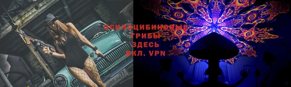 МДПВ Заволжье