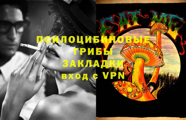молекула духа Новодвинск