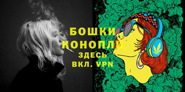 молекула духа Новодвинск