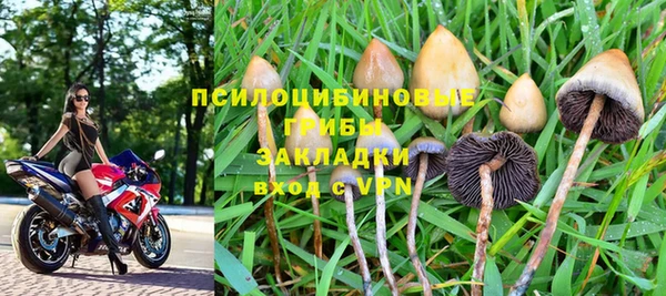 винт Новокубанск