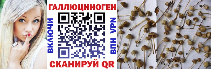 Галлюциногенные грибы мухоморы  Красноуральск 