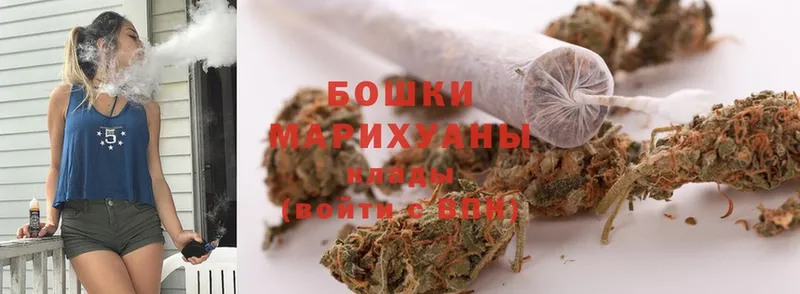 МАРИХУАНА SATIVA & INDICA  купить наркоту  Красноуральск 